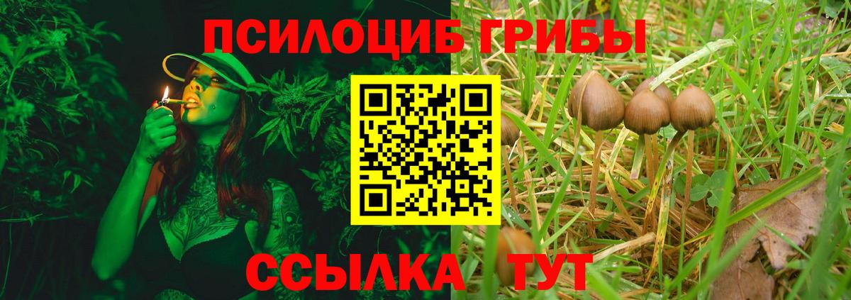 Галлюциногенные грибы прущие грибы  Вход с VPN  Кизляр 